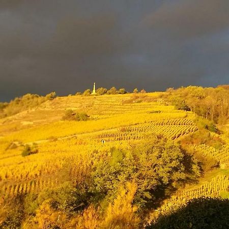 ホテル Wine Passion Panoramic Chavanay エクステリア 写真