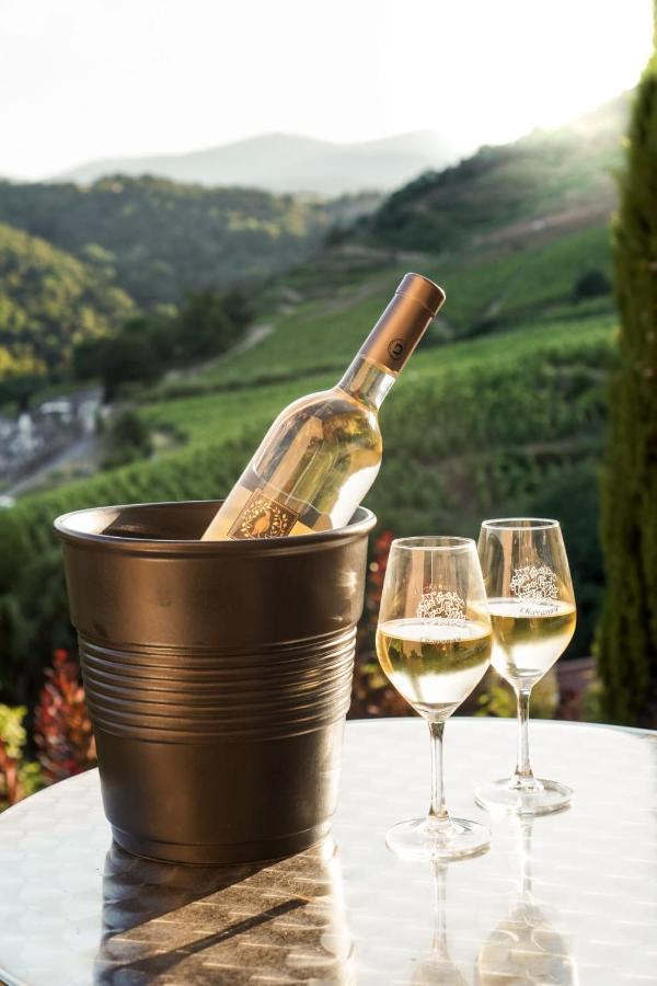 ホテル Wine Passion Panoramic Chavanay エクステリア 写真