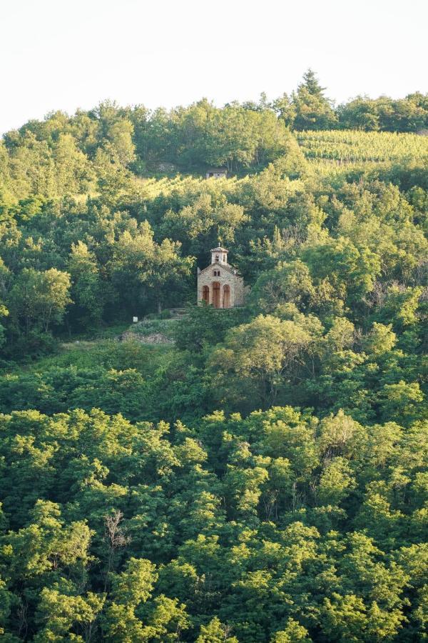 ホテル Wine Passion Panoramic Chavanay エクステリア 写真